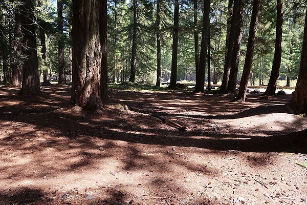 Ranger Creek Campground 2025 - 48