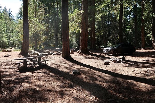 Ranger Creek Campground 2025 - 80
