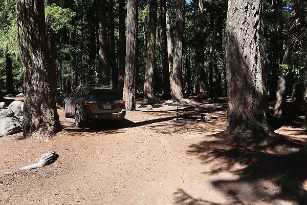 Ranger Creek Campground 2025 - 68