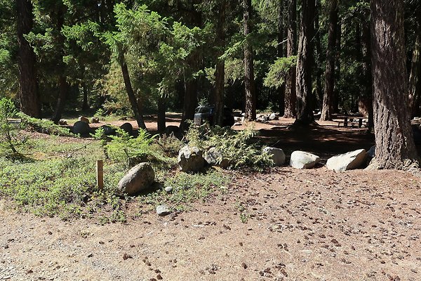 Ranger Creek Campground 2025 - 30