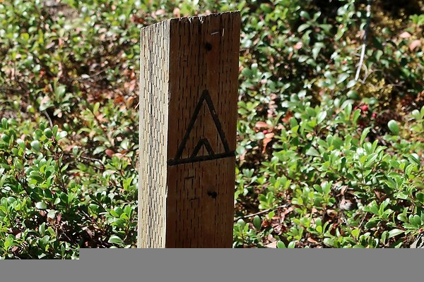 Ranger Creek Campground 2025 - 28