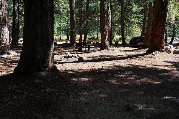 Ranger Creek Campground 2025 - 54