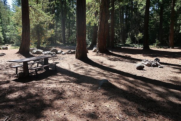 Ranger Creek Campground 2025 - 44