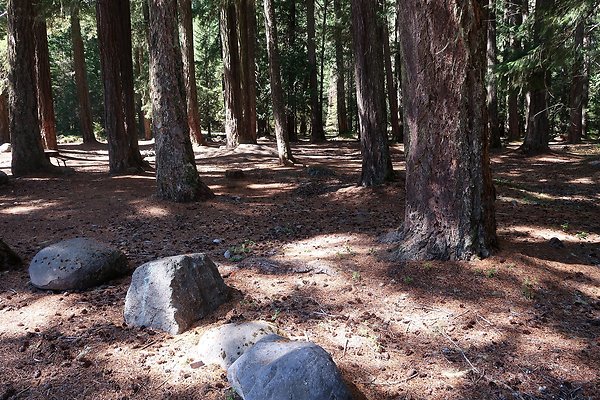 Ranger Creek Campground 2025 - 40