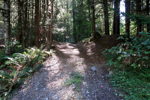Skookum Flats Trailhead North USFS 2025 - 48