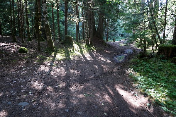 Skookum Flats Trailhead North USFS 2025 - 54