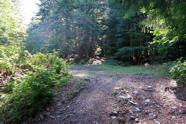 Skookum Flats Trailhead North USFS 2025 - 18