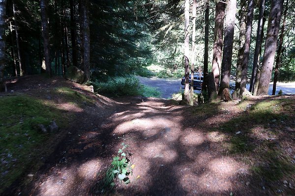 Skookum Flats Trailhead North USFS 2025 - 59