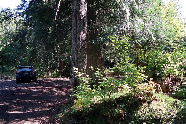 Skookum Flats Trailhead North USFS 2025 - 17