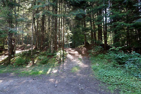 Skookum Flats Trailhead North USFS 2025 - 47