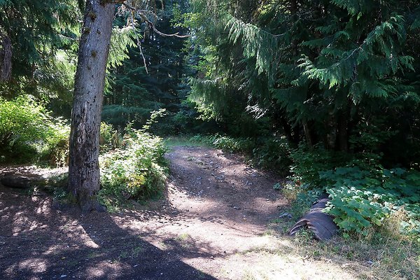Skookum Flats Trailhead North USFS 2025 - 15