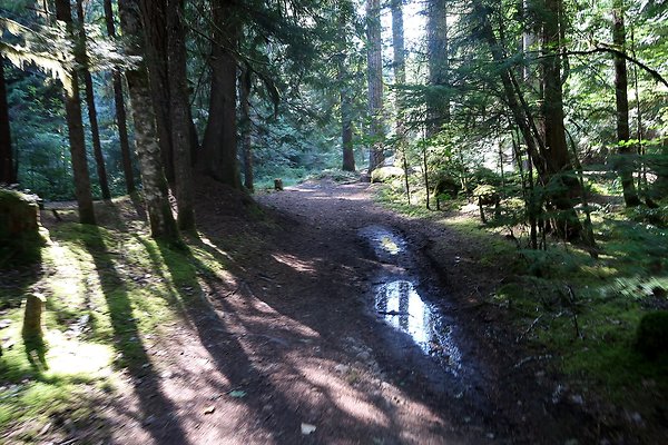 Skookum Flats Trailhead North USFS 2025 - 55