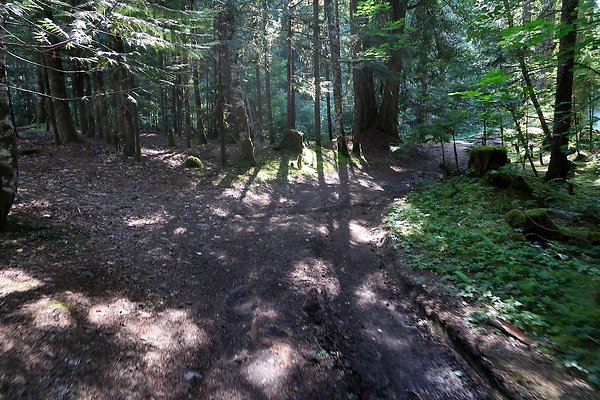 Skookum Flats Trailhead North USFS 2025 - 53
