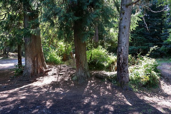 Skookum Flats Trailhead North USFS 2025 - 14