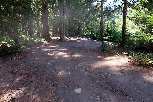 White River Access USFS  - 30
