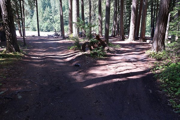 White River Access USFS  - 25