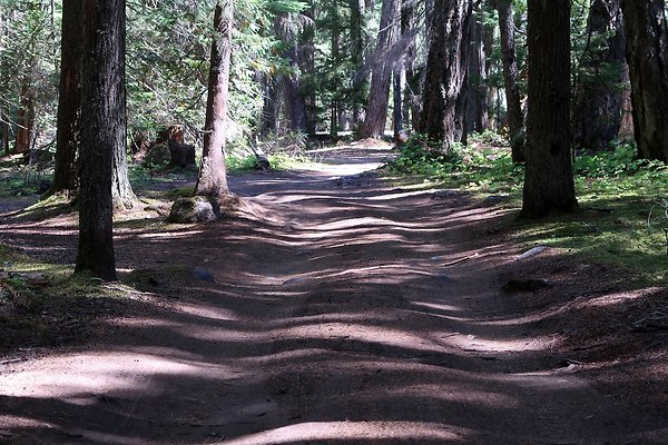 White River Access USFS  - 16