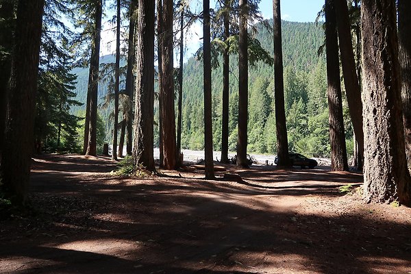 White River Access USFS  - 8