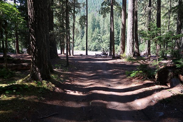 White River Access USFS  - 26