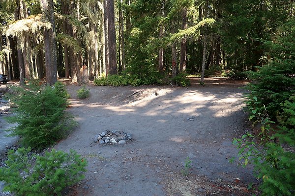White River Access USFS  - 41