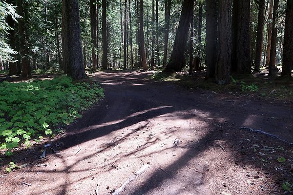 White River Access USFS  - 10