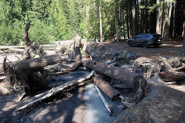 White River Access USFS  - 50