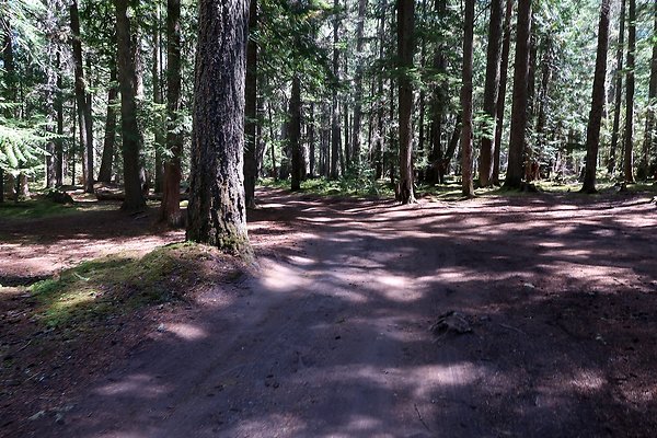White River Access USFS  - 13