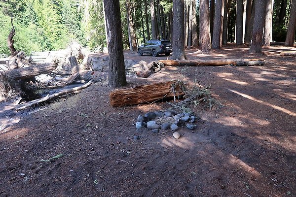 White River Access USFS  - 49