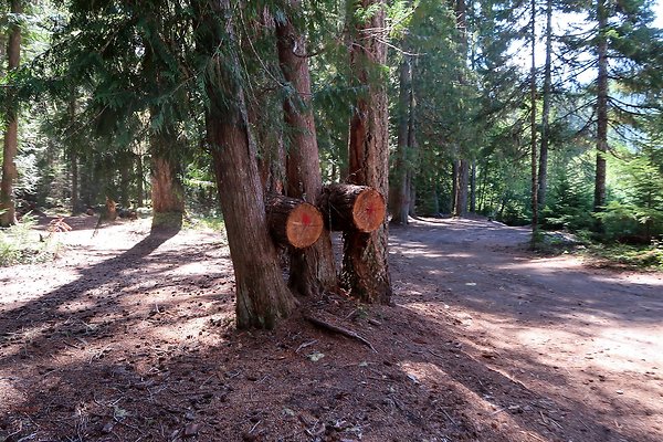 White River Access USFS  - 29