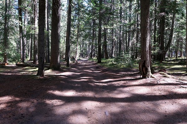 White River Access USFS  - 18