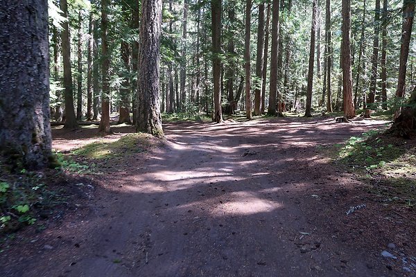 White River Access USFS  - 12