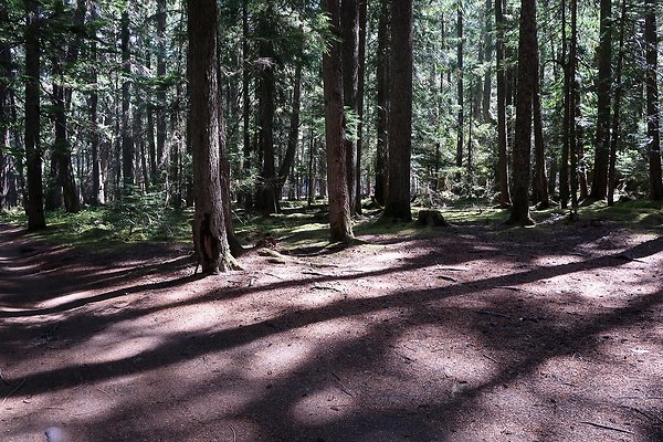 White River Access USFS  - 19