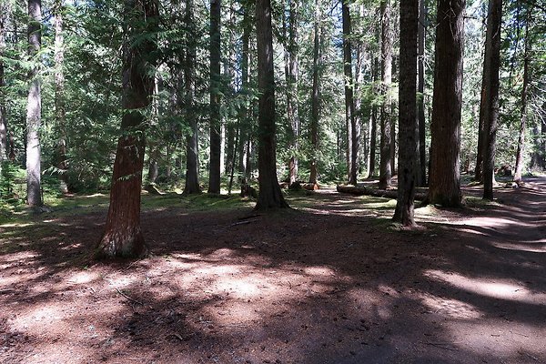 White River Access USFS  - 17