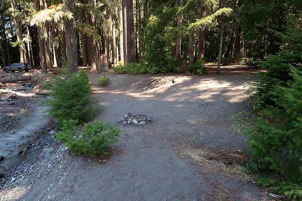White River Access USFS  - 45