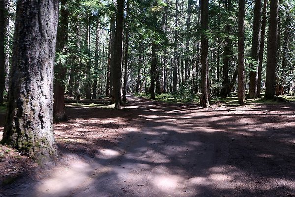 White River Access USFS  - 14