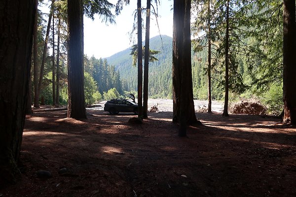 White River Access USFS  - 6