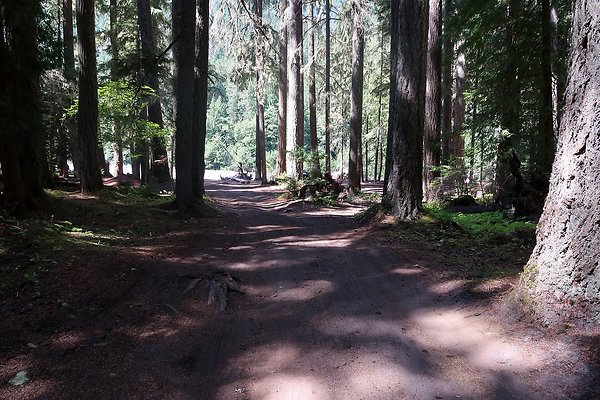 White River Access USFS  - 22