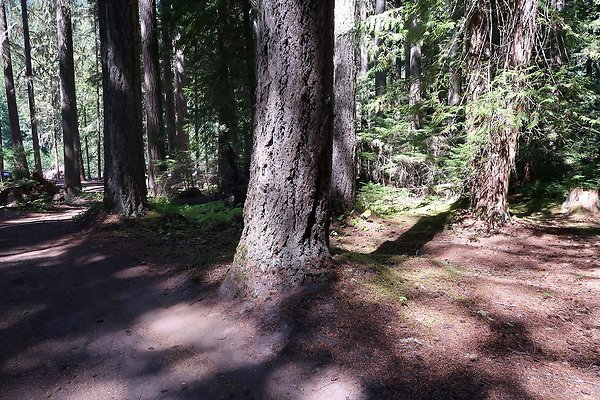 White River Access USFS  - 23