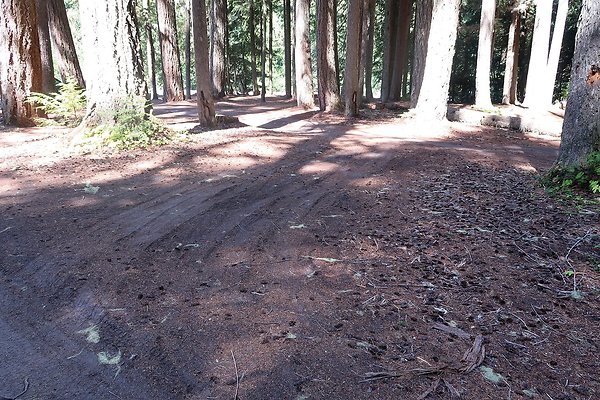 White River Access USFS  - 28
