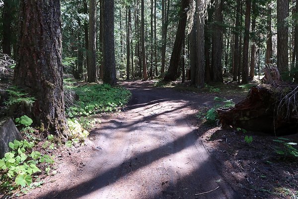 White River Access USFS  - 9