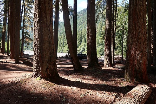 White River Access USFS  - 7