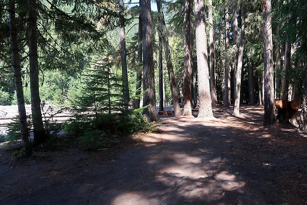 White River Access USFS  - 35