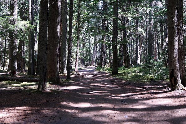 White River Access USFS  - 15