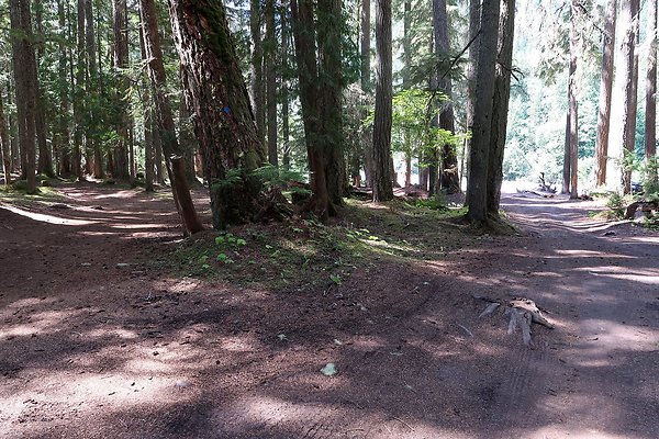 White River Access USFS  - 21