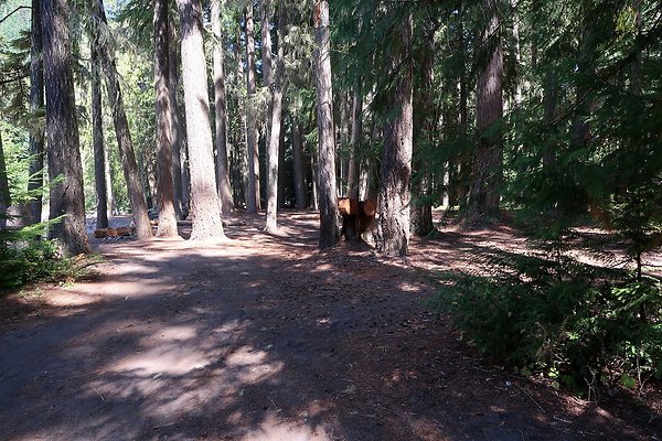White River Access USFS  - 36