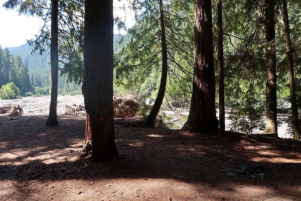 White River Access USFS  - 5