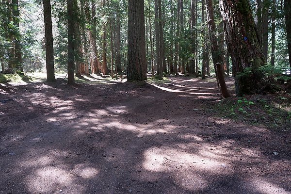 White River Access USFS  - 20