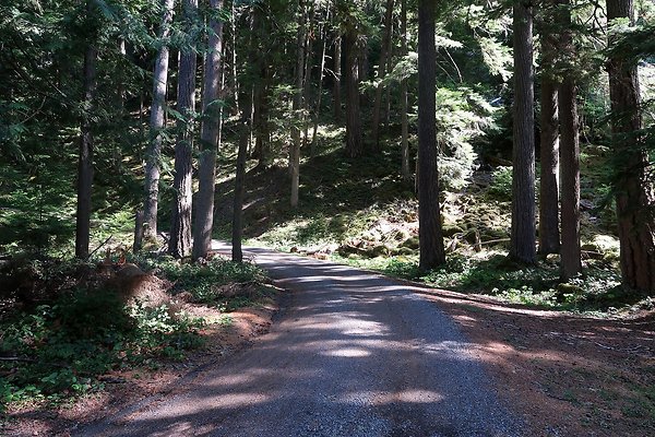 SR410 WSDOT 2025 - 39