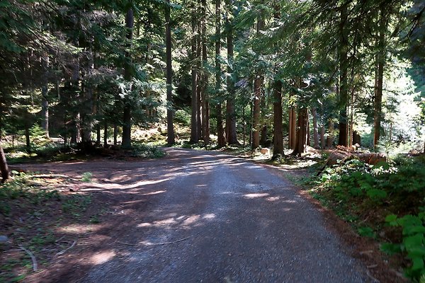 SR410 WSDOT 2025 - 34