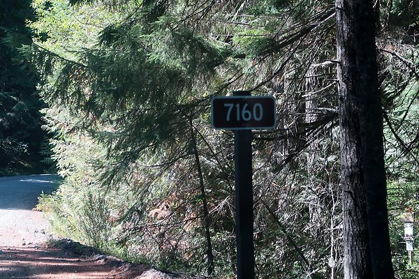 SR410 WSDOT 2025 - 96